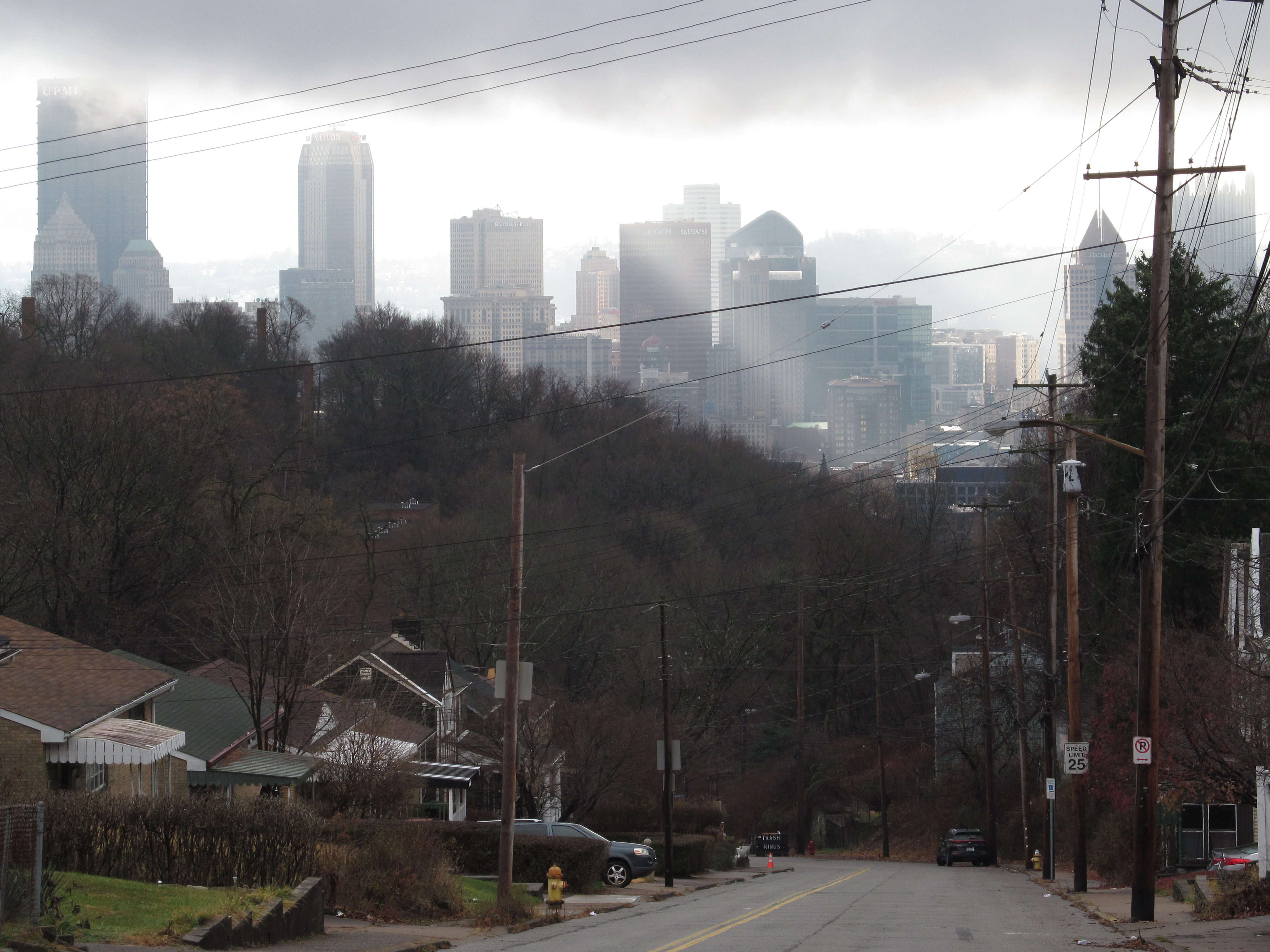 Downtown Pittsburgh from Federal Street, Lafayette Hilltop, North Side  Source: Cbaile19