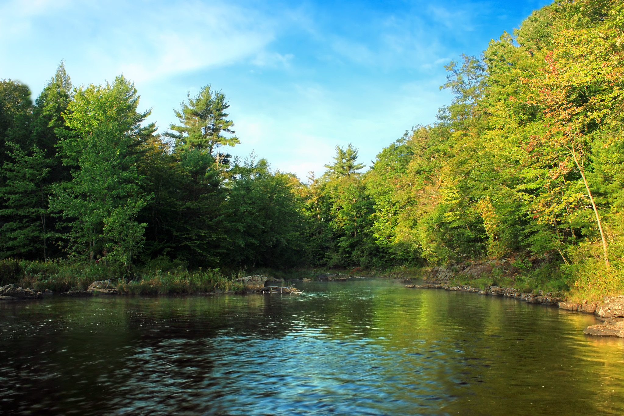 Tobyhanna Creek