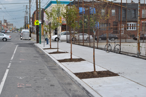 Tree Trenches in South Philadelphia; Photo Credit: Philadelphia Water Department