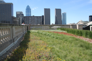 Green Roof at the Free Library of Philadelphia, Central Branch; Photo Credit: Philadelphia Water Department