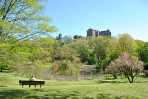 Saylor Grove Stormwater Wetland; Photo Credit: Philadelphia Water Department