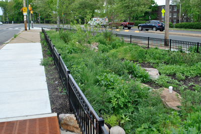 Swale and Rain Garden in South West Philadelphia; Photo Credit: Philadelphia Water Department